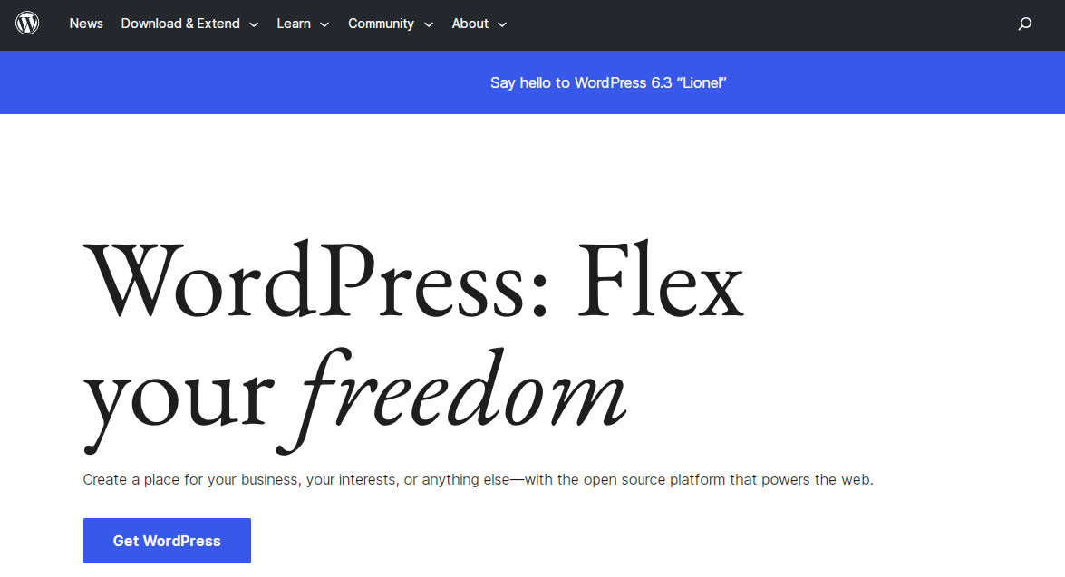 choosing wordpress for blogging