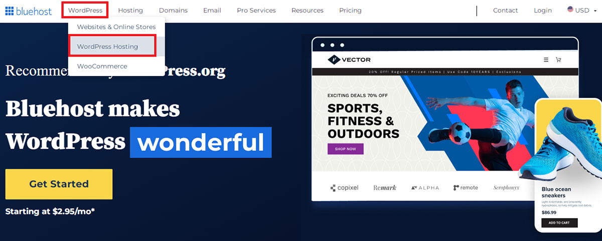 bluehost wordpress hosting