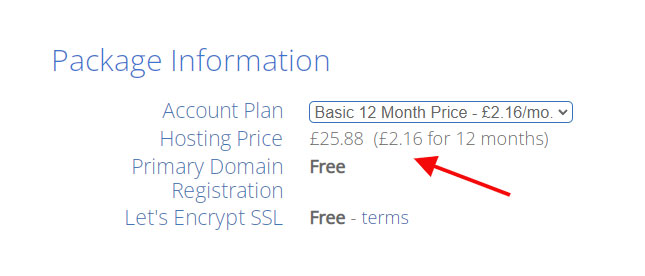 bluehost 12 month pricing