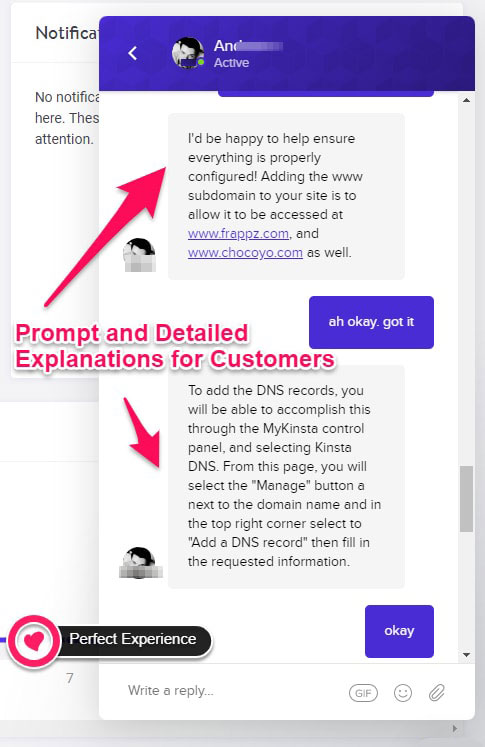 kinsta customer support