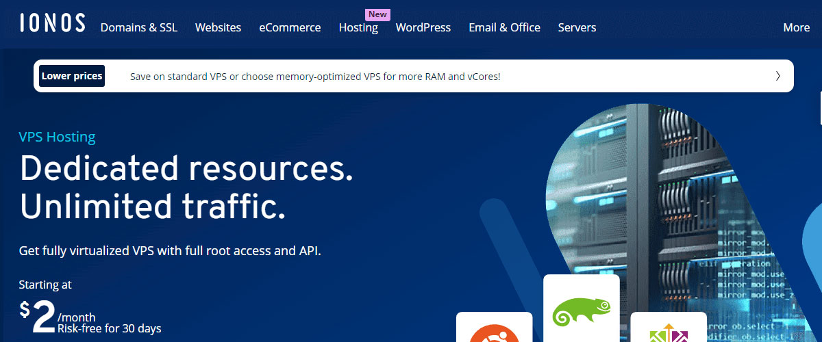 ionos vm