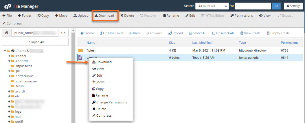 download in cpanel file manager