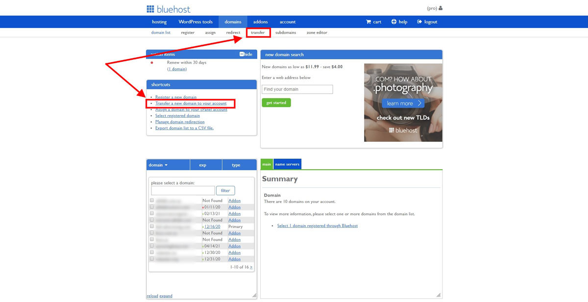 bluehost transfer domain name