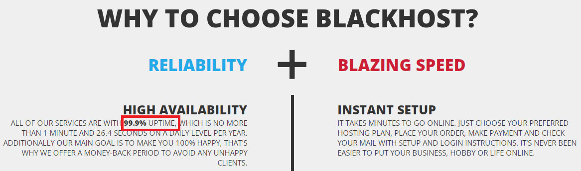 blackhost uptime