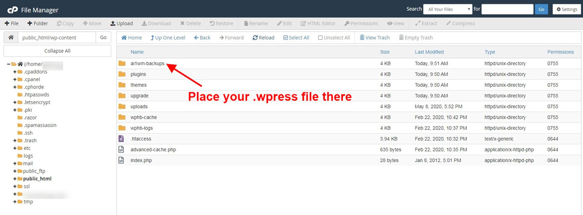 ai1wm backups ftp