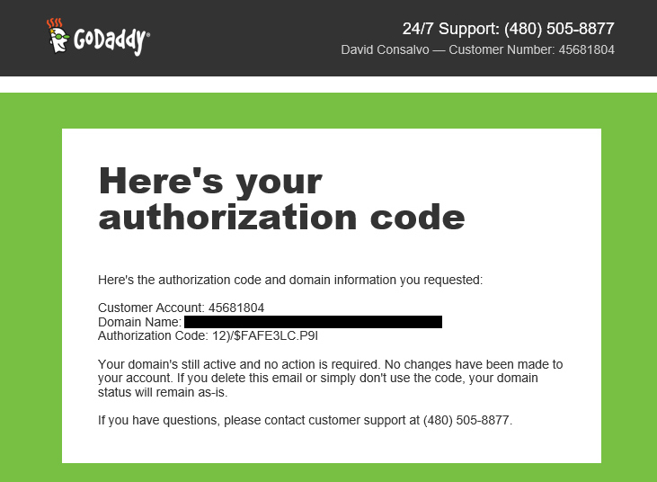 godaddy authorization code email