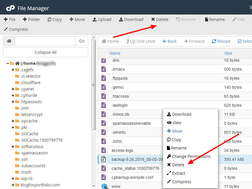 how to delete the existing backup to empty the disk space using cpanel