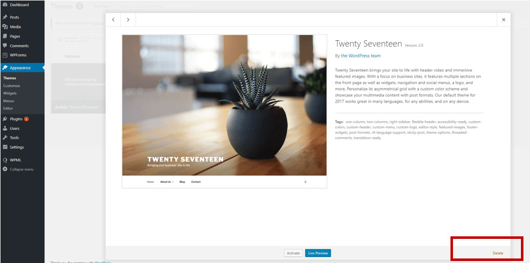 Delete theme wordpress