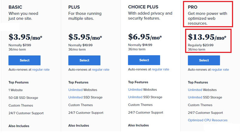 bluehost pro hosting plan price