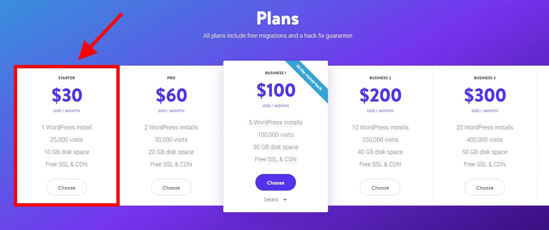 kinsta pricing plan