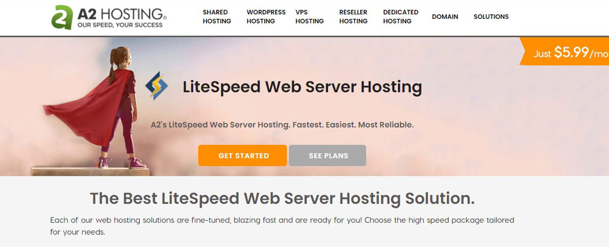 litespeed web server vps license pricing