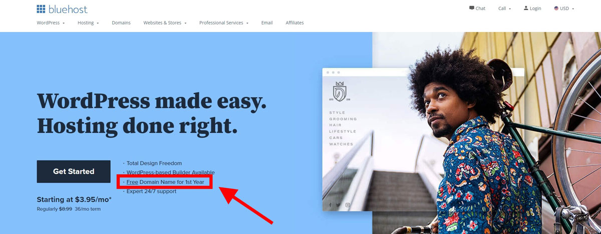 bluehost free domain first year