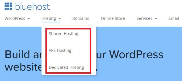 bluehost hosting types links