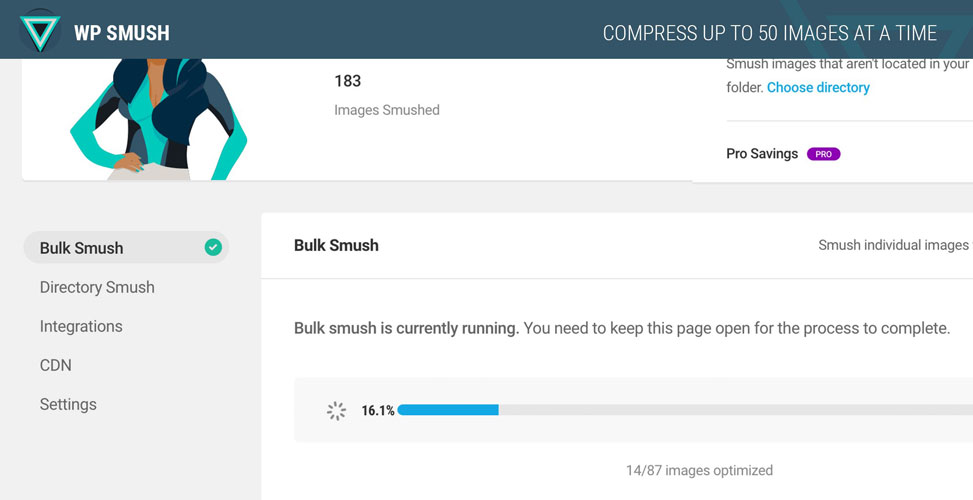 smush image compression plugin