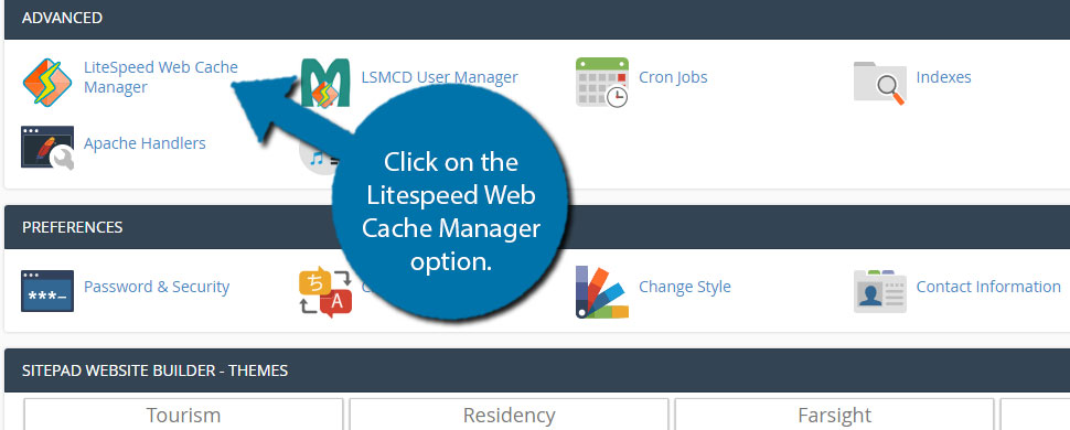 litespeed web cache manager