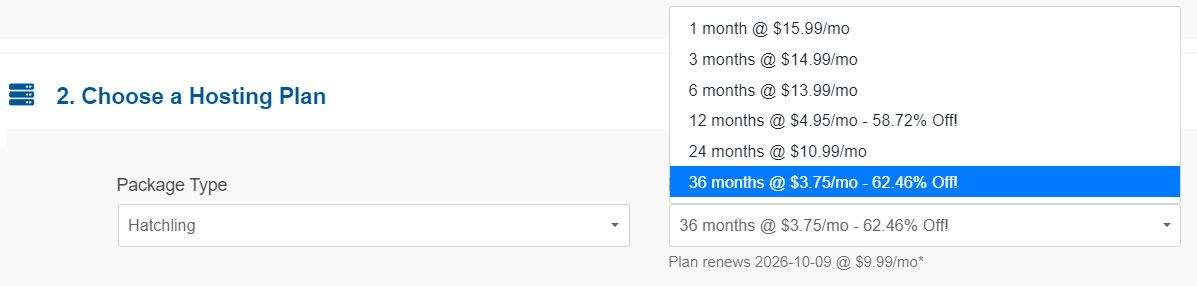 choosing hostgator hosting term